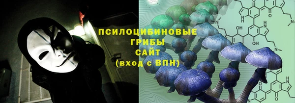 ПСИЛОЦИБИНОВЫЕ ГРИБЫ Балахна