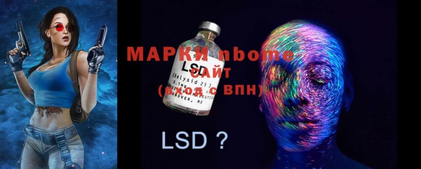 PSILOCYBIN Богородицк