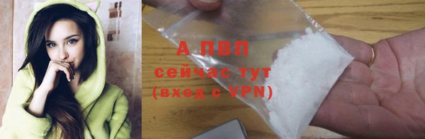PSILOCYBIN Богородицк