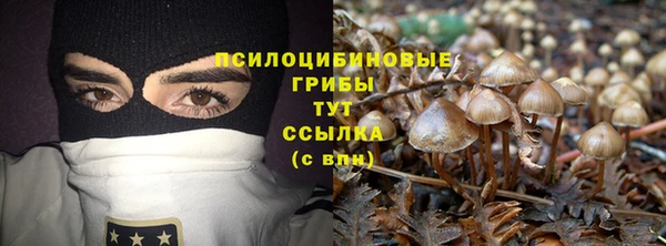 эйфоретик Бородино